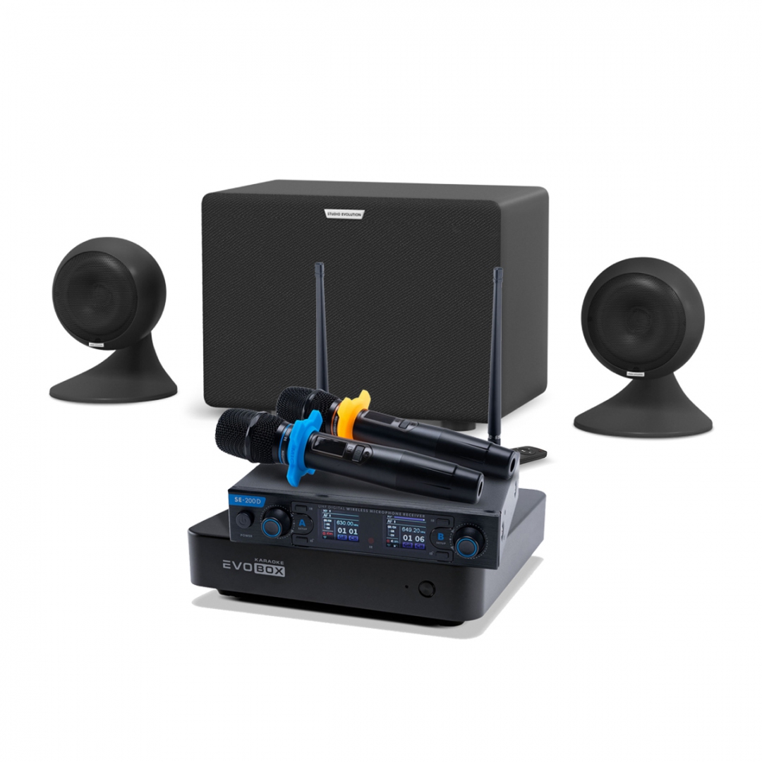 караоке-комплект EVOBOX + EvoSound Sphere 2.1 в Курской области