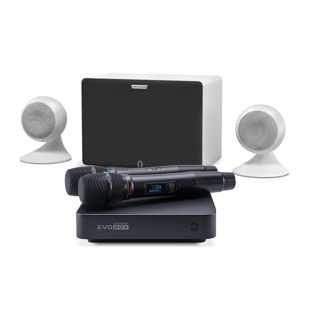 караоке-комплект EVOBOX Classic + EvoSound Sphere 2.1 в Курской области