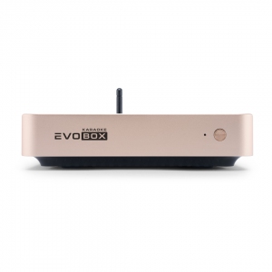 EVOBOX Plus караоке-система для дома в Курской области